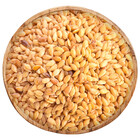 Siemię lniane złote ziarno 1 kg fivio Up