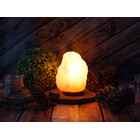 Lampa solna JONIZATOR 2-3 kg