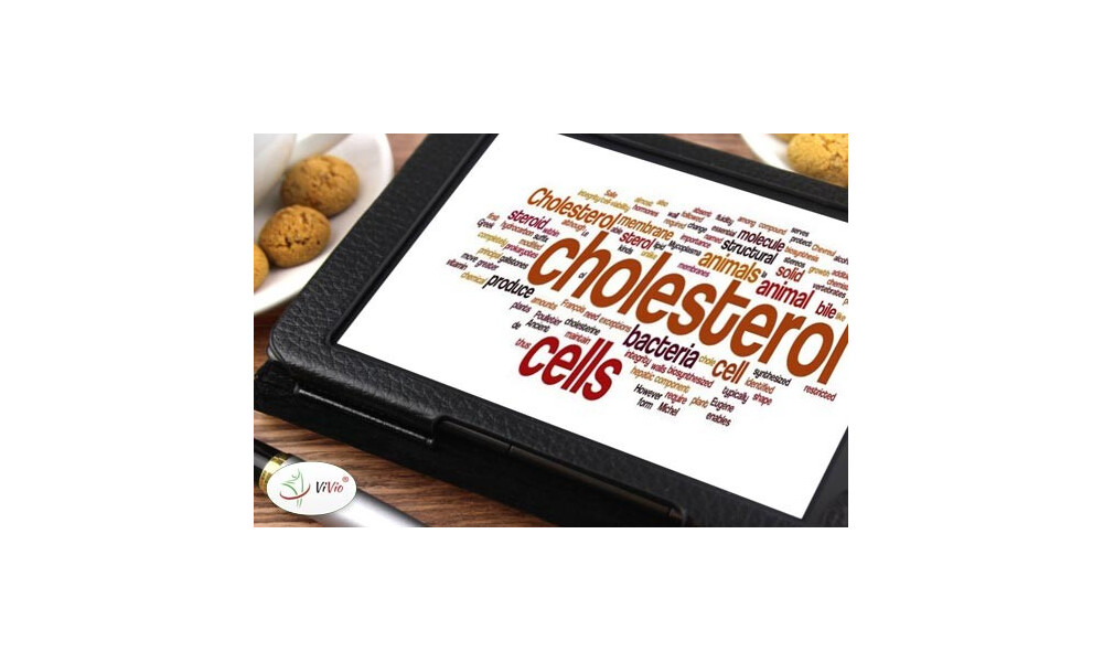 Wysoki cholesterol. Jak obniżyć cholesterol? I czy warto? Inne spojrzenie na współczesne metody leczenia okiem Jerzego Zięby