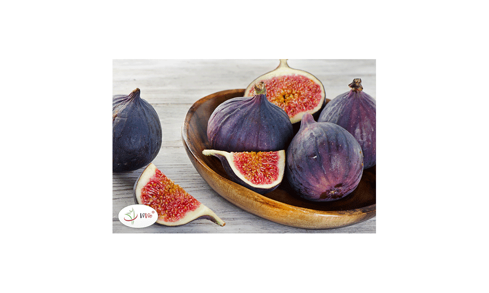Figa – biblijny owoc płodności skutecznym afrodyzjakiem?