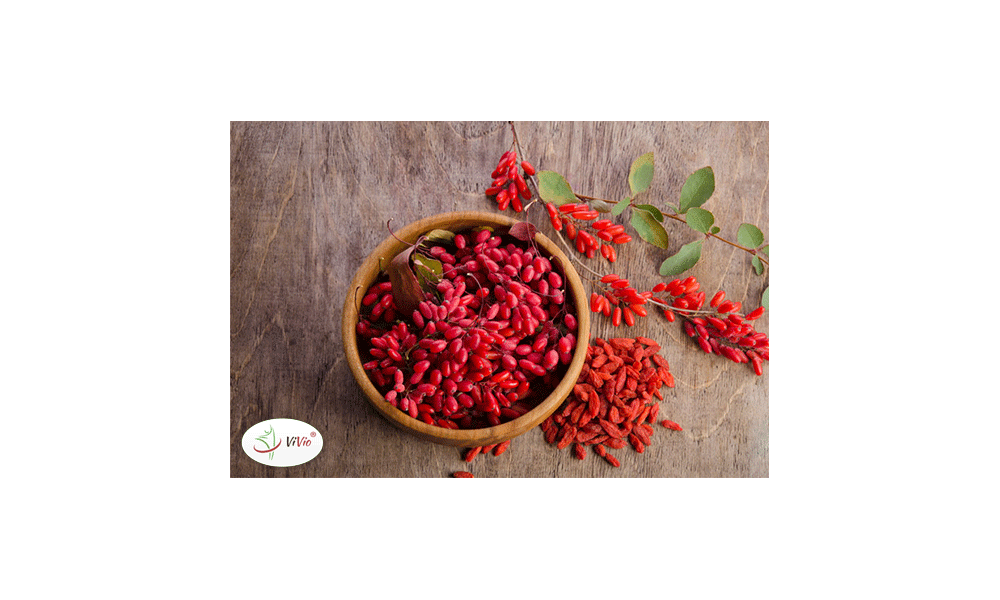 Jagody Goji – „czerwone diamenty” długowieczności!