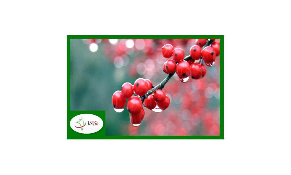 Guarana zamiast kawy – dobra dla ciała i umysłu