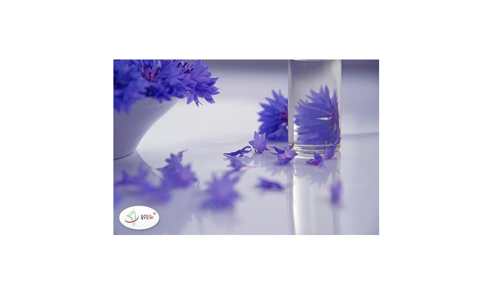 Jak czytać skład kosmetyków? Sprawdź, na co musisz zwrócić uwagę!