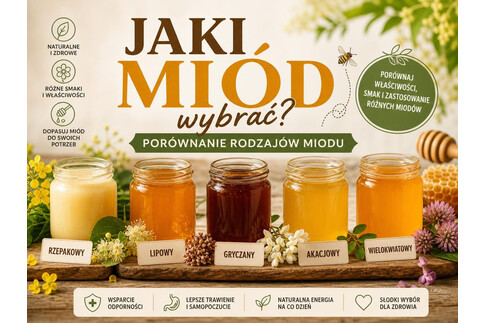 Jaki miód wybrać? Porównanie rodzajów miodu
