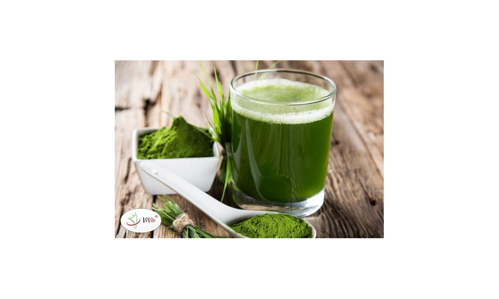 Młody jęczmień – na oczyszczenie organizmu po świętach