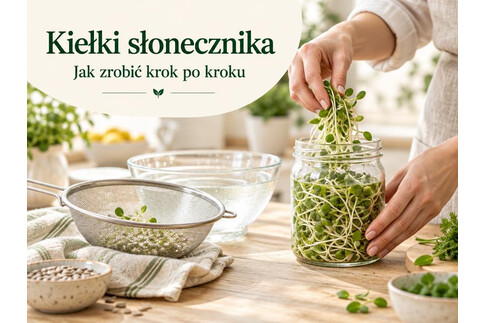 Kiełki słonecznika - jak zrobić i czy można kiełkować słonecznik łuskany
