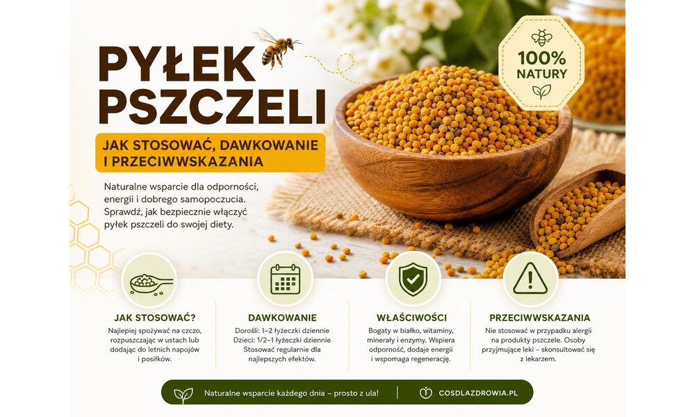 Pyłek pszczeli - jak stosować, dawkowanie i przeciwwskazania