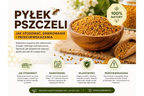 Pyłek pszczeli - jak stosować, dawkowanie i przeciwwskazania