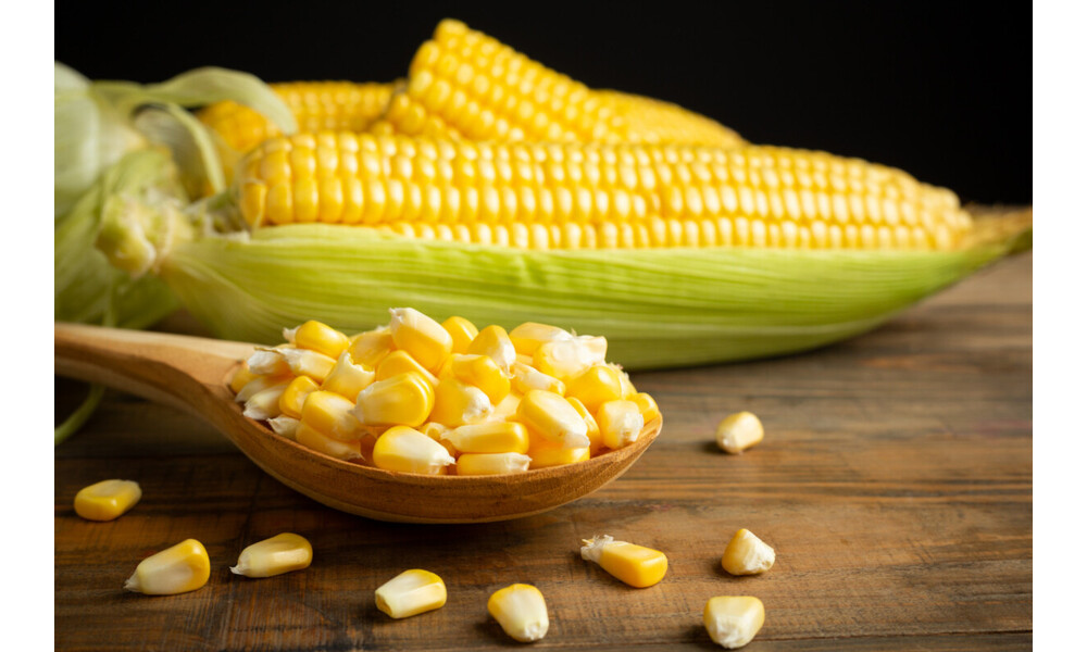Co to jest skrobia kukurydziana? Właściwości, zastosowanie, różnice