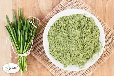 7 powodów, dla których warto pić sok z młodego jęczmienia!