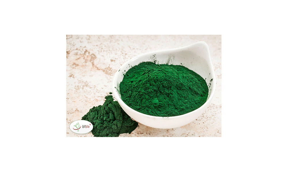 Spirulina, czyli „zielone mięso” w proszku?
