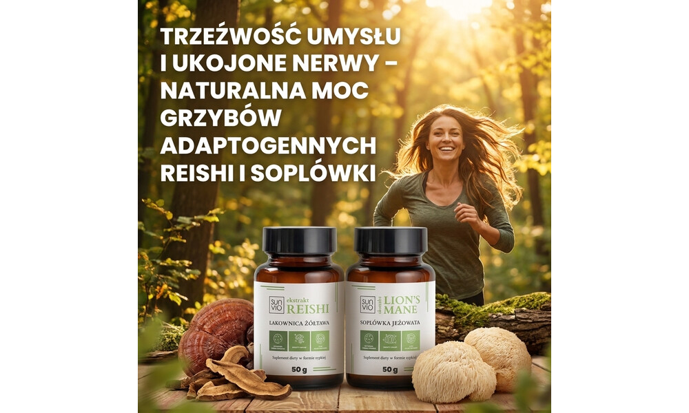Trzeźwość umysłu i ukojone nerwy – naturalna moc grzybów adaptogennych Reishi i Soplówki