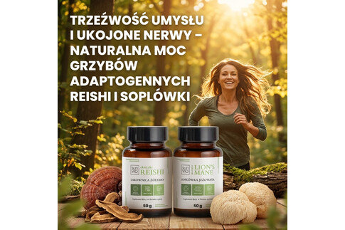 Trzeźwość umysłu i ukojone nerwy – naturalna moc grzybów adaptogennych Reishi i Soplówki